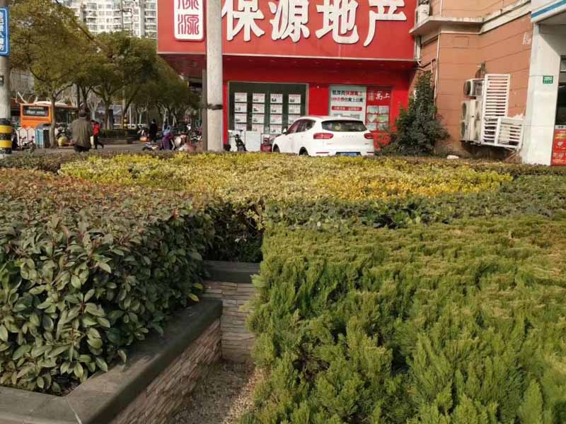 律師如何搜尋證據？上海死刑辯護律師告訴你