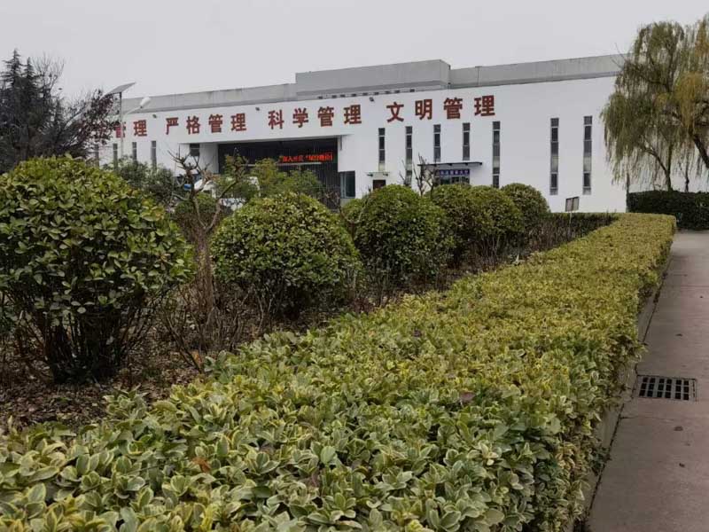 盜竊樹(shù)木的數(shù)額達(dá)到多少錢(qián)可以判刑？上海知名刑事律師帶您了解