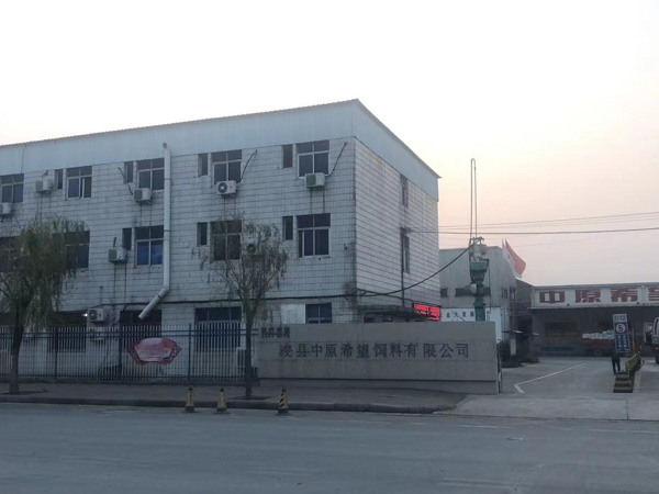 以 "介紹對象 "為名出賣婦女牟利，構(gòu)成拐賣婦女罪嗎？上海刑事辯護(hù)律師來回答